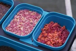 Drennan DMS 1 Pint Modular Bait Seal Box 8 Drennan DMS 1 Pint Modular Bait Seal Box -Hengelsportseries Winkel 1606427866