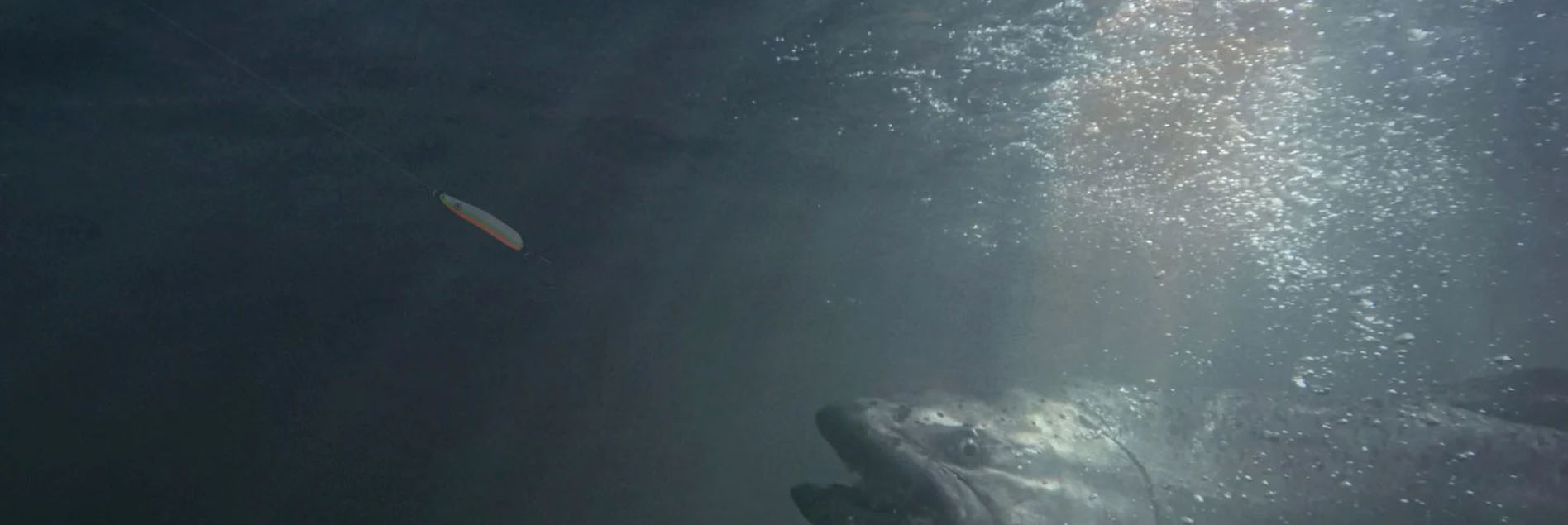 Hengelsportseries Winkel -Hengelsportseries Winkel jfj